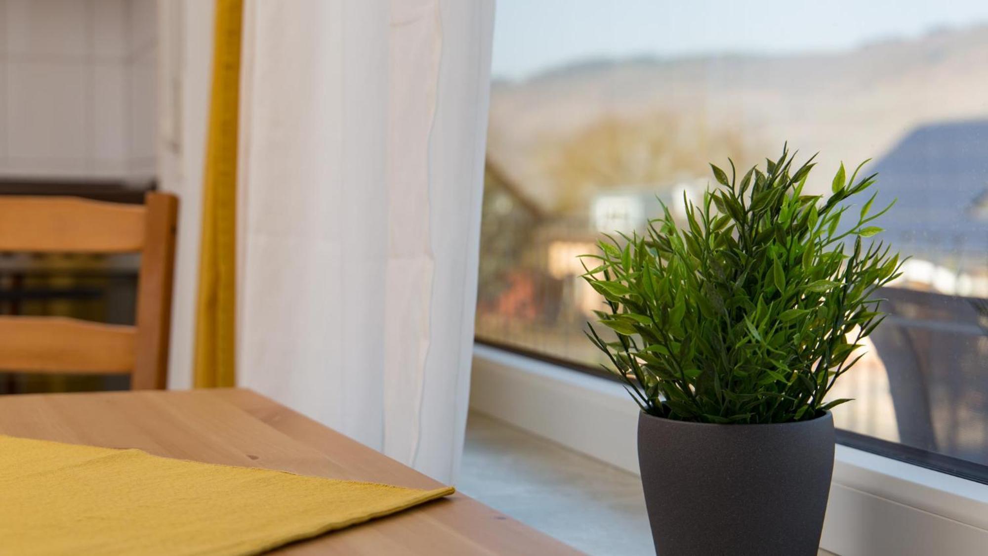 Apartament Weingut Roth Kindel Zewnętrze zdjęcie